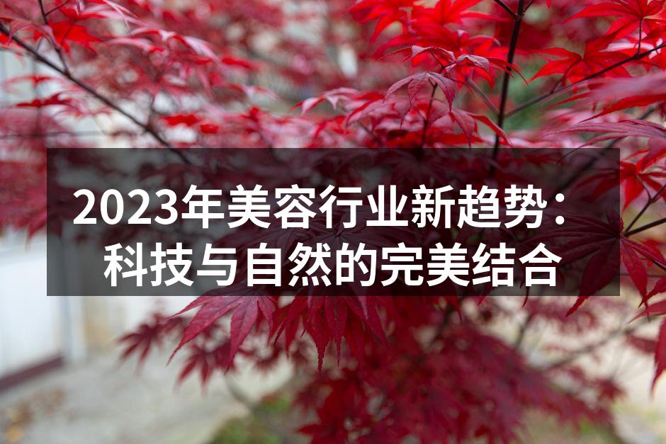 2023年美容行业新趋势：科技与自然的完